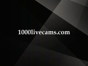 1000livecams.com