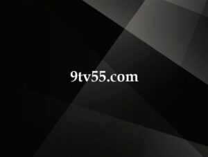 9tv55.com