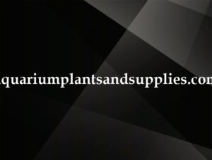 aquariumplantsandsupplies.com