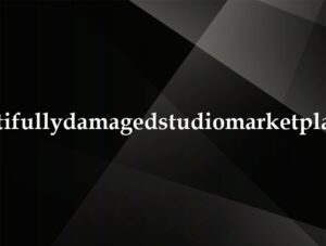 beautifullydamagedstudiomarketplace.ca