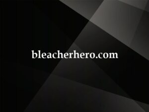 bleacherhero.com