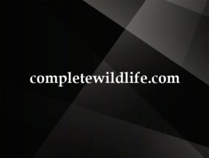 completewildlife.com