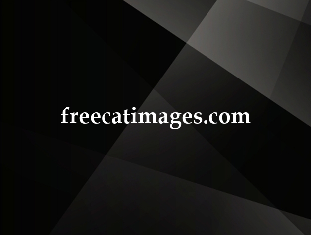 freecatimages.com