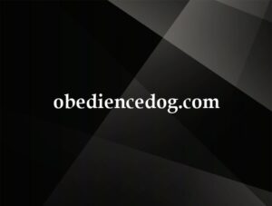obediencedog.com