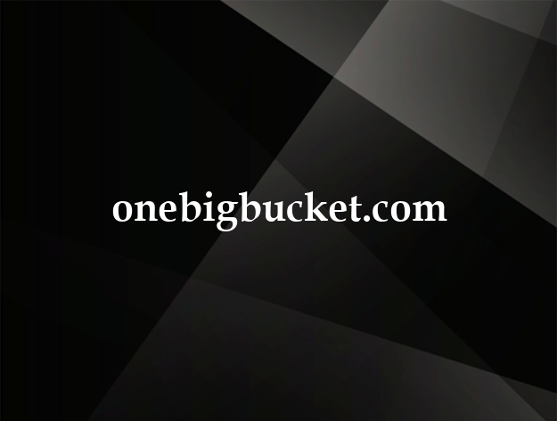 onebigbucket.com
