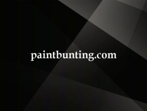 paintbunting.com