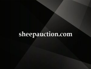 sheepauction.com