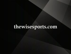 thewisesports.com