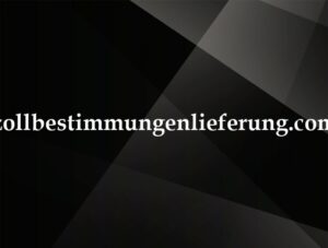 zollbestimmungenlieferung.com