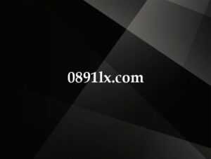 0891lx.com