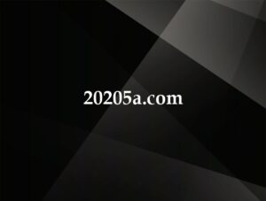 20205a.com