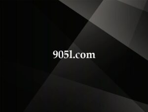 905l.com