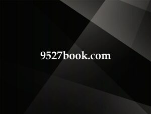 9527book.com