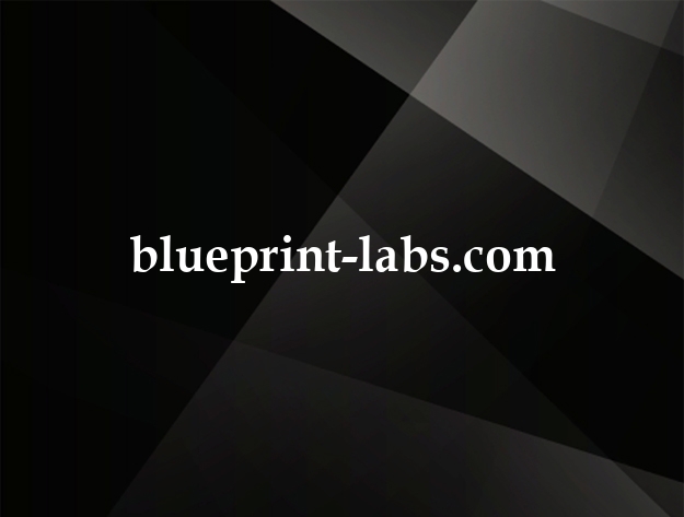 blueprint-labs.com