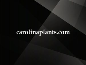 carolinaplants.com
