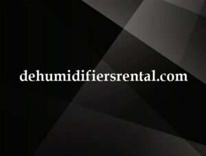 dehumidifiersrental.com