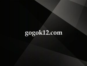 gogok12.com