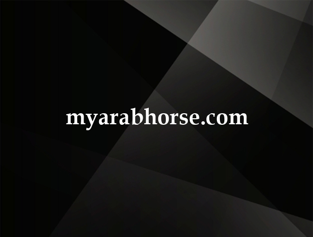 myarabhorse.com